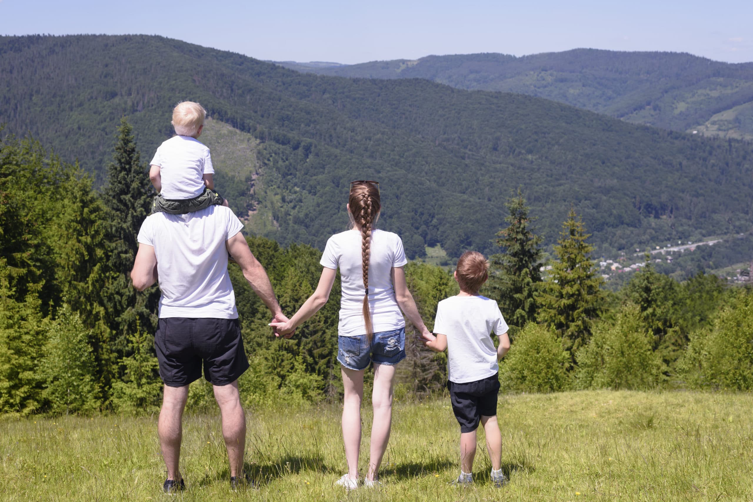 Father, mother and two little sons are standing on a green field on a background of wooded hills. Family values.