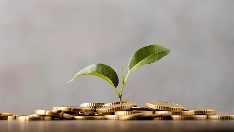 économies suisses lpp